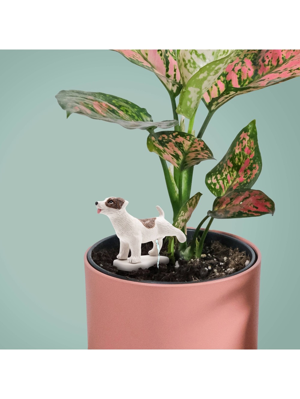 Pee My Plants Dog Watering Decoration